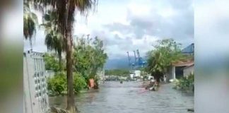 Tras el terremoto que sacudió México, confirman "leve tsunami" en Manzanillo