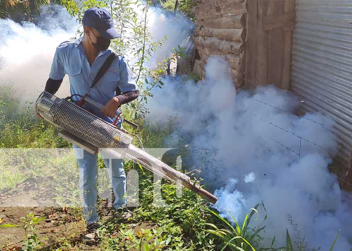 Labores de fumigación casa a casa en Matagalpa