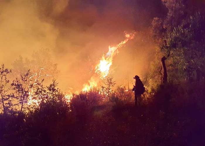 Centenares de personas evacuadas en Francia por "monstruoso" incendio