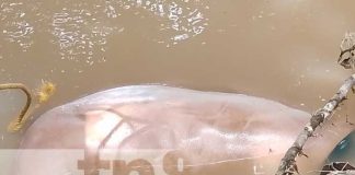 Dos personas mueren al ahogarse en un río de Matiguás