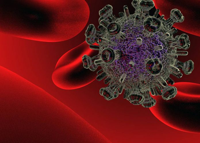 « Las bacterias intestinales» pueden contribuir a la susceptibilidad a la infección por VIH