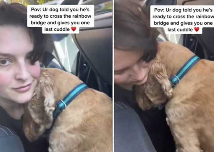 Triste: Perro se despide con abrazo antes que la pongan a dormir