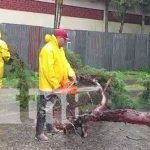 Tormenta tropical Julia deja varias afectaciones en Jinotega