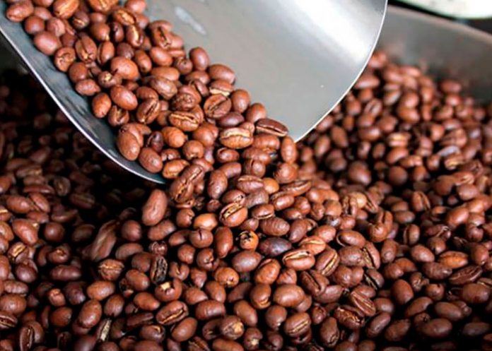 Aumenta la oferta de café nicaragüense en el comercio electrónico de Corea
