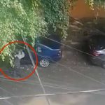 Video: Hombre suplica a gritos a ladrón que no le roben nada