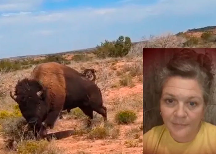 Mujer graba el brutal ataque de un bisonte mientras practica senderismo