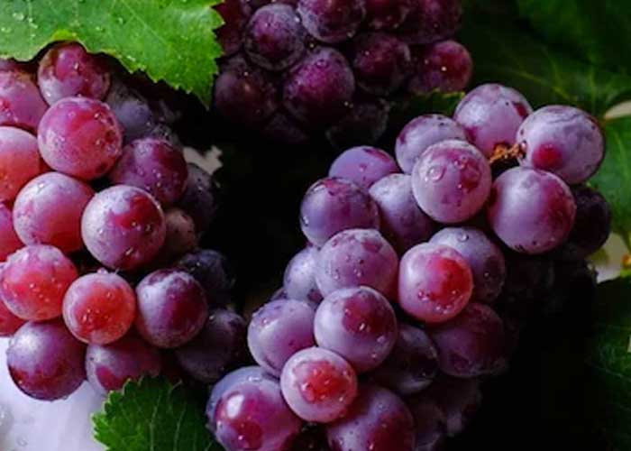 Restaurante ofrece vacantes de trabajo para dar de comer uvas
