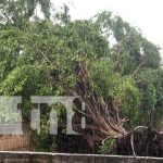 Tormenta tropical Julia causa estragos en Managua