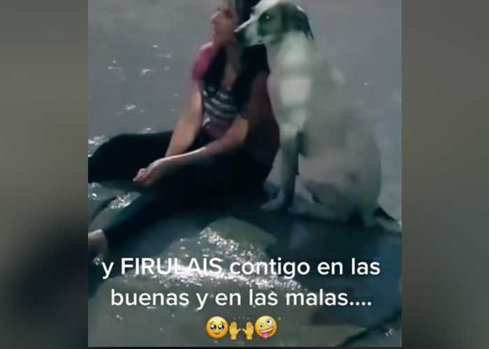 "Amigo fiel": Mujer llora tristemente bajo la lluvia y su perro la acompaña