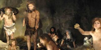 ¡Impresionante! Estudio genético retrata a familia de neandertales de Siberia