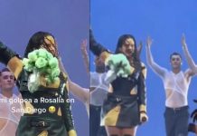 Golpean en la cara a Rosalía en medio de un concierto