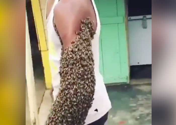 Asombross sujeto se anima a llevar su brazo lleno de abejas