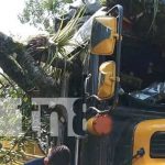 Bus de Matagalpa-Cerro Colorado se estrella con árbol en Matiguás