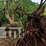 Nicaragua en alerta roja tras el paso de la tormenta tropical "Julia"