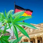 Ministro de Salud de Alemania busca legalizar la marihuana para consumo recreativo