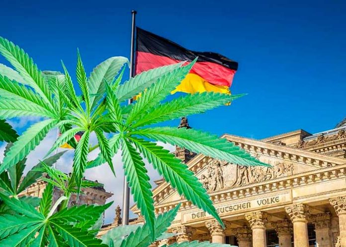 Ministro de Salud de Alemania busca legalizar la marihuana para consumo recreativo