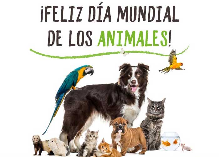 04 de octubre Día Mundial de los Animales