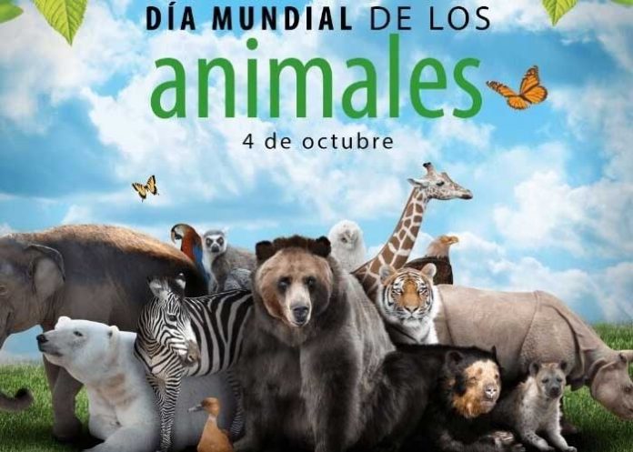 04 de octubre Día Mundial de los Animales