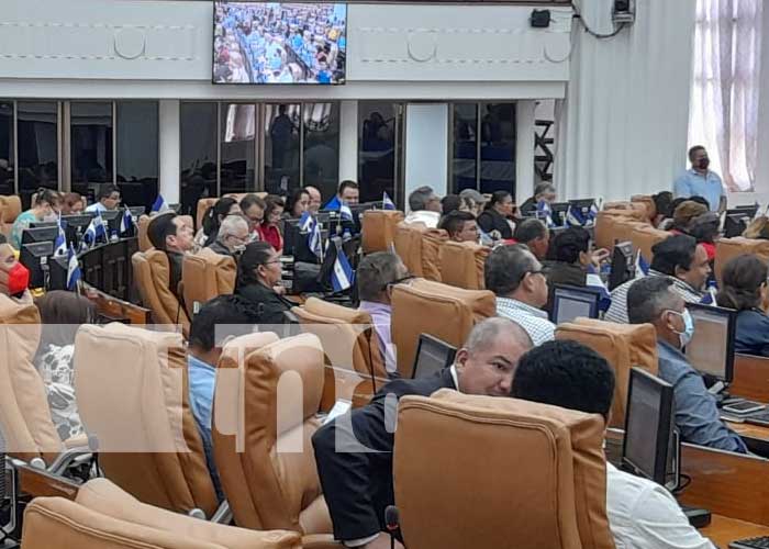 Sesión parlamentaria en la Asamblea Nacional