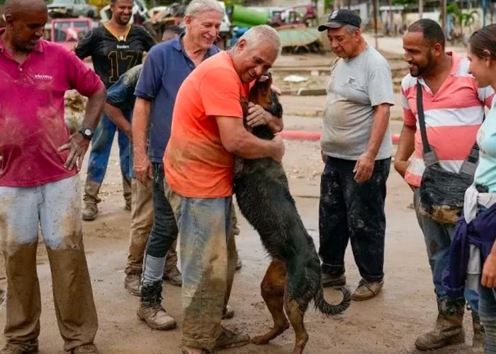 El perro se paró en dos patas para alcanzar a su dueño