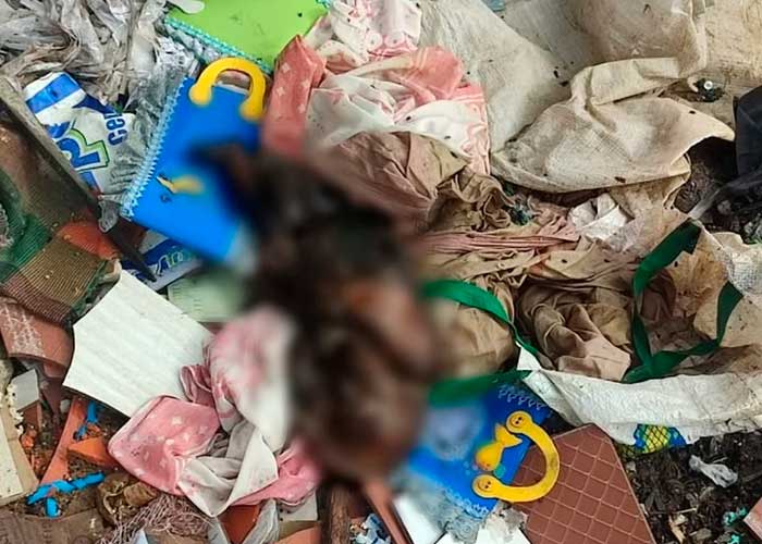 Estremecedor hallazgo de un bebé incinerado en un basurero en Bogotá