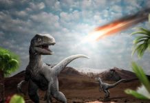 El asteroide que mató dinosaurios provocó un tsunami