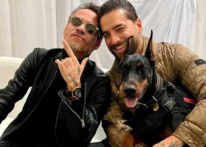 ¡Candente! En pleno concierto Marc Anthony besa y se arrodilla ante Maluma