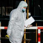En España detectan el primer caso de gripe aviar H5N1 en un humano
