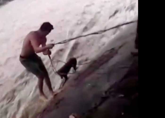  Félix "El Gemelo" Alvarado rescata a perro de un cauce en Managua