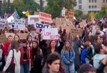 Miles de profesores realizan huelga por un mejor salario en Hungría