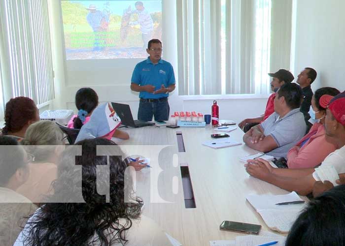Capacitación del INTA Nicaragua para los productores de ajonjolí