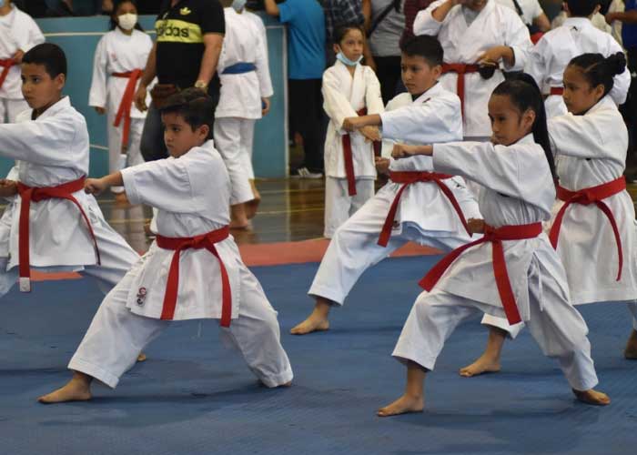  25 de octubre se celebra el Día Mundial de Karate