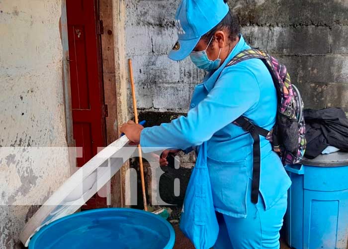 MINSA destruye criaderos y aplica BTI en barrios del Distrito V de Managua