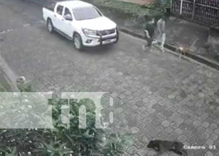 Denuncia contra el salvaje que mató a un perro en La Concepción, Masaya