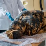 Reconstruyen el rostro de una momia egipcia que estaba embarazada