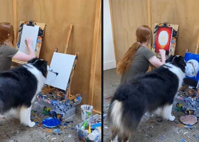 Perro enternece a toda una plataforma por hacer arte con su hocico