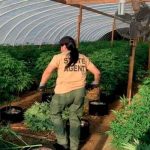 Hallan 4 muertos en granja de marihuana en Oklahoma, Estados Unidos