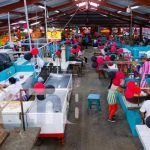 Mejores condiciones para comerciantes del sector cárnico en Masaya