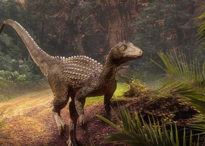 En Rumania: Científicos descubren antigua especie de dinosaurio