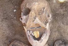 ¡Insólito! Encuentran momias con “lenguas” de oro en Egipto