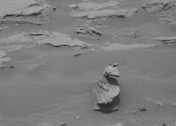 ¡De locos! Encuentran un pato en el planeta Marte (FOTO)