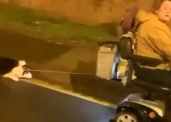 Arden de indignación: Perrito es arrastrado por su dueña en una moto
