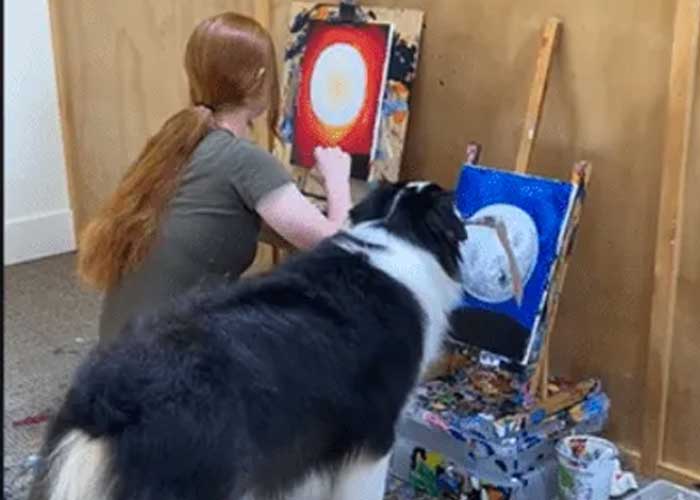Perro enternece a toda una plataforma por hacer arte con su hocico