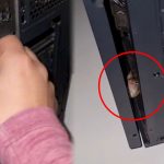 ¿Buscaba queso? Joven encuentra un ratón dentro de su computadora (Video)