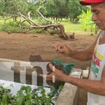 Inauguran en Las Jagüitas, Managua, estanque para la producción de alevines