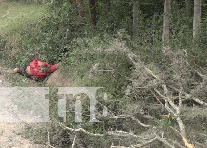 Hombre pierde la vida tras pasarle un tractor encima, en Estelí