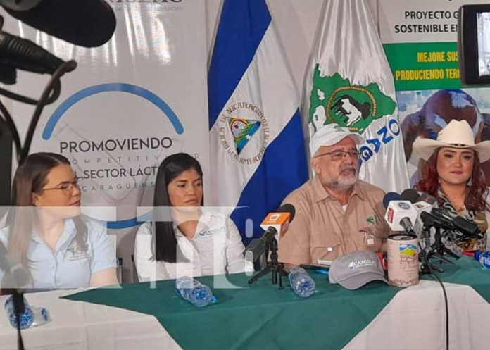 Sector ganadero con altas expectativas para Nicaragua