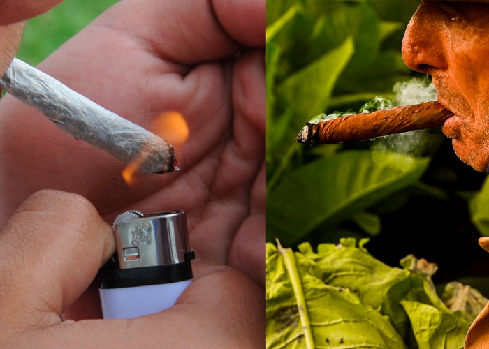 La marihuana daña los pulmones más que el tabaco
