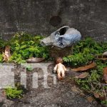 : Artefactos de supuesta brujería en Carazo