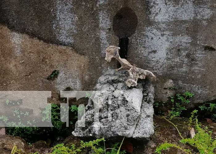 : Artefactos de supuesta brujería en Carazo